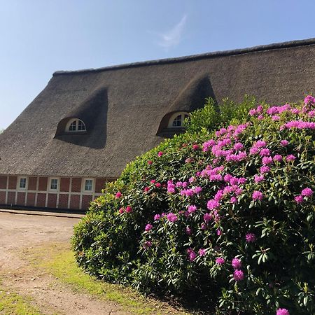 Ferienwohnungen Unter Den Eichen Stade Exterior photo